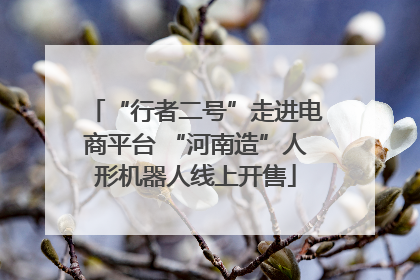 “行者二号”走进电商平台 “河南造”人形机器人线上开售