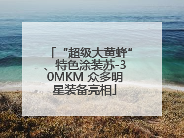 “超级大黄蜂”、特色涂装苏-30MKM 众多明星装备亮相