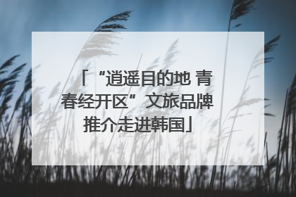 “逍遥目的地 青春经开区”文旅品牌推介走进韩国