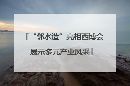 “邻水造”亮相西博会 展示多元产业风采