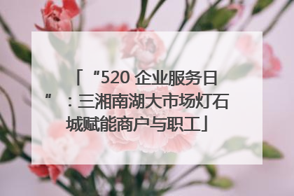 “520 企业服务日”：三湘南湖大市场灯石城赋能商户与职工