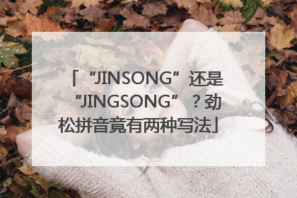“JINSONG”还是“JINGSONG”？劲松拼音竟有两种写法