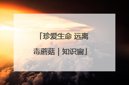 珍爱生命 远离毒蘑菇｜知识窗