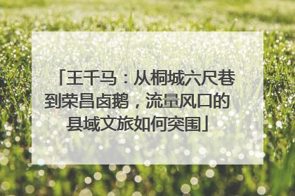 王千马：从桐城六尺巷到荣昌卤鹅，流量风口的县域文旅如何突围