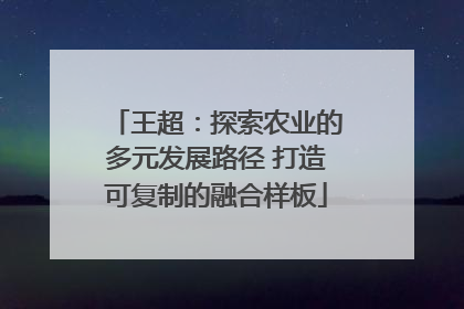 王超：探索农业的多元发展路径 打造可复制的融合样板