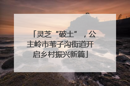 灵芝“破土”，公主岭市苇子沟街道开启乡村振兴新篇