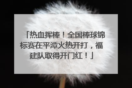 热血挥棒！全国棒球锦标赛在平潭火热开打，福建队取得开门红！