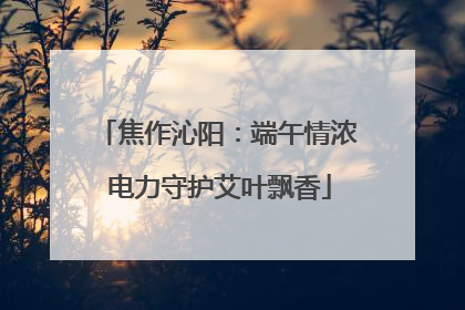 焦作沁阳：端午情浓 电力守护艾叶飘香