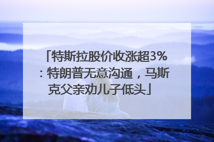 特斯拉股价收涨超3%：特朗普无意沟通，马斯克父亲劝儿子低头