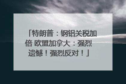 特朗普：钢铝关税加倍 欧盟加拿大：强烈遗憾！强烈反对！