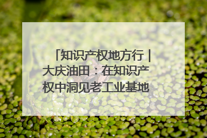 知识产权地方行｜大庆油田：在知识产权中洞见老工业基地的 “创新密码”