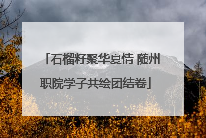 石榴籽聚华夏情 随州职院学子共绘团结卷