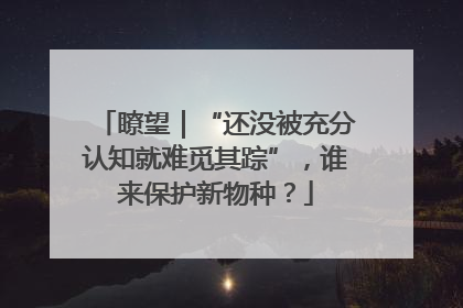 瞭望｜“还没被充分认知就难觅其踪”，谁来保护新物种？