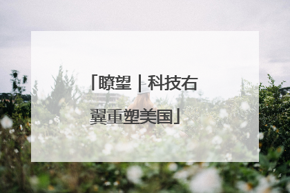 瞭望｜科技右翼重塑美国