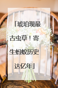 琥珀现最古虫草！寄生蚂蚁历史达亿年