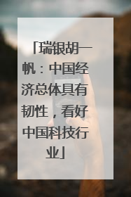 瑞银胡一帆：中国经济总体具有韧性，看好中国科技行业