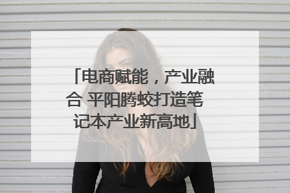 电商赋能，产业融合 平阳腾蛟打造笔记本产业新高地