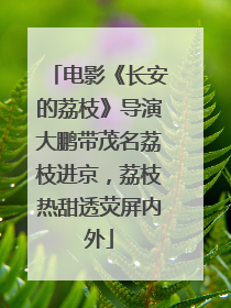 电影《长安的荔枝》导演大鹏带茂名荔枝进京，荔枝热甜透荧屏内外
