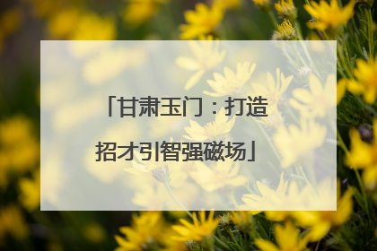甘肃玉门：打造招才引智强磁场