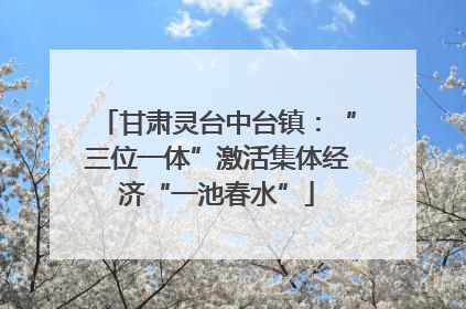 甘肃灵台中台镇：“三位一体”激活集体经济“一池春水”