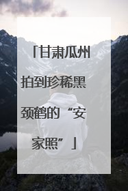 甘肃瓜州拍到珍稀黑颈鹤的“安家照”