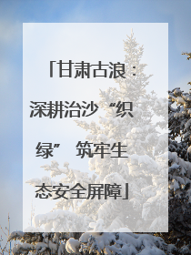 甘肃古浪：深耕治沙“织绿” 筑牢生态安全屏障