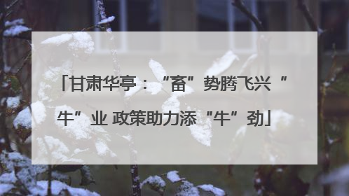 甘肃华亭：“畜”势腾飞兴“牛”业 政策助力添“牛”劲