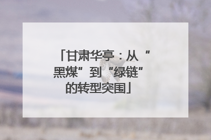 甘肃华亭：从“黑煤”到“绿链”的转型突围