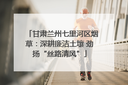 甘肃兰州七里河区烟草：深耕廉洁土壤 劲扬“丝路清风”