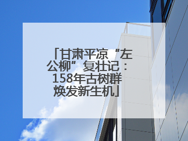 甘肃平凉“左公柳”复壮记：158年古树群焕发新生机