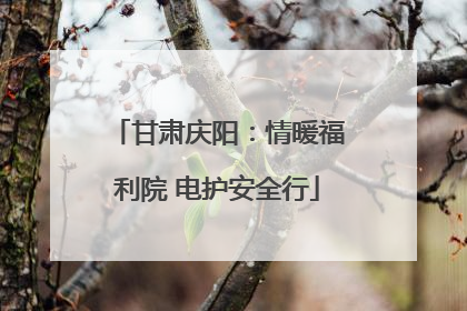 甘肃庆阳：情暖福利院 电护安全行