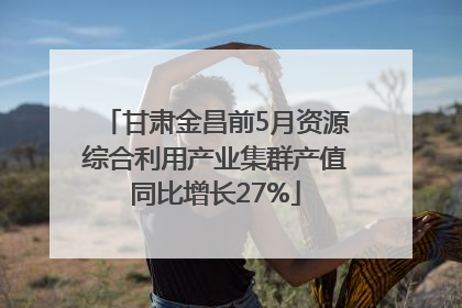 甘肃金昌前5月资源综合利用产业集群产值同比增长27%