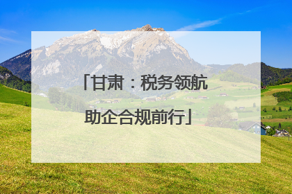甘肃：税务领航 助企合规前行