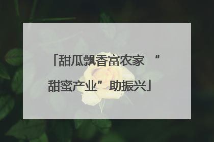 甜瓜飘香富农家 “甜蜜产业”助振兴