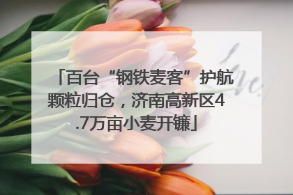 百台“钢铁麦客”护航颗粒归仓，济南高新区4.7万亩小麦开镰