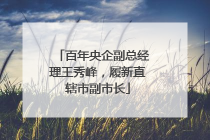 百年央企副总经理王秀峰，履新直辖市副市长