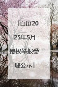 百度2025年5月侵权举报受理公示