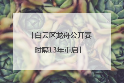白云区龙舟公开赛时隔13年重启