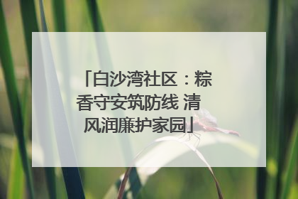 白沙湾社区：粽香守安筑防线 清风润廉护家园