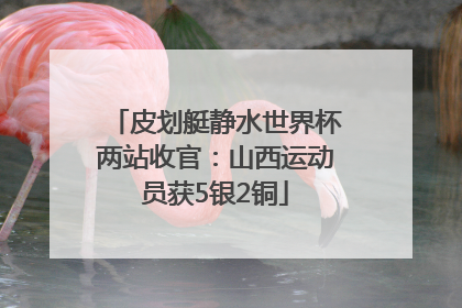 皮划艇静水世界杯两站收官：山西运动员获5银2铜