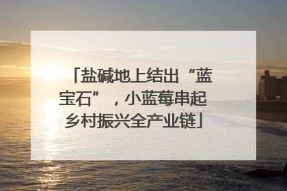 盐碱地上结出“蓝宝石”，小蓝莓串起乡村振兴全产业链