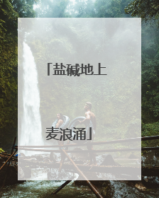 盐碱地上麦浪涌