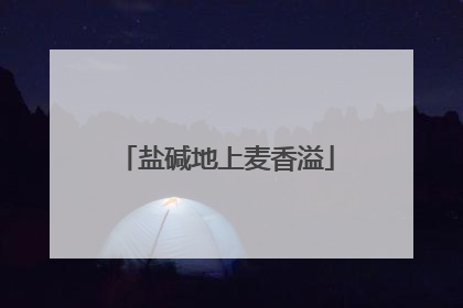 盐碱地上麦香溢