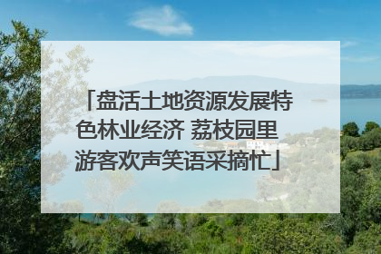 盘活土地资源发展特色林业经济 荔枝园里游客欢声笑语采摘忙