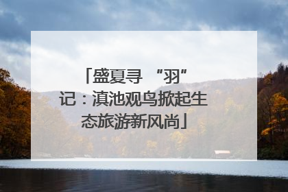 盛夏寻 “羽” 记：滇池观鸟掀起生态旅游新风尚