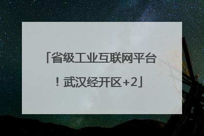 省级工业互联网平台！武汉经开区+2