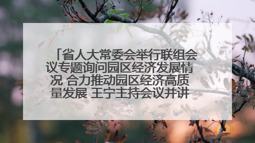 省人大常委会举行联组会议专题询问园区经济发展情况 合力推动园区经济高质量发展 王宁主持会议并讲话 王予波带队到会应询