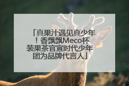 真果汁遇见真少年！香飘飘Meco杯装果茶官宣时代少年团为品牌代言人