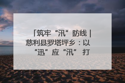 筑牢“汛”防线｜慈利县罗塔坪乡：以“迅”应“汛” 打赢暴雨防御战