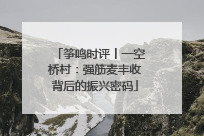 筝鸣时评丨一空桥村：强筋麦丰收背后的振兴密码